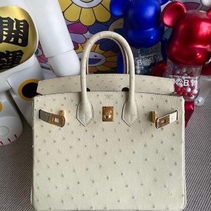 エルメス オーストリッチ バッグ